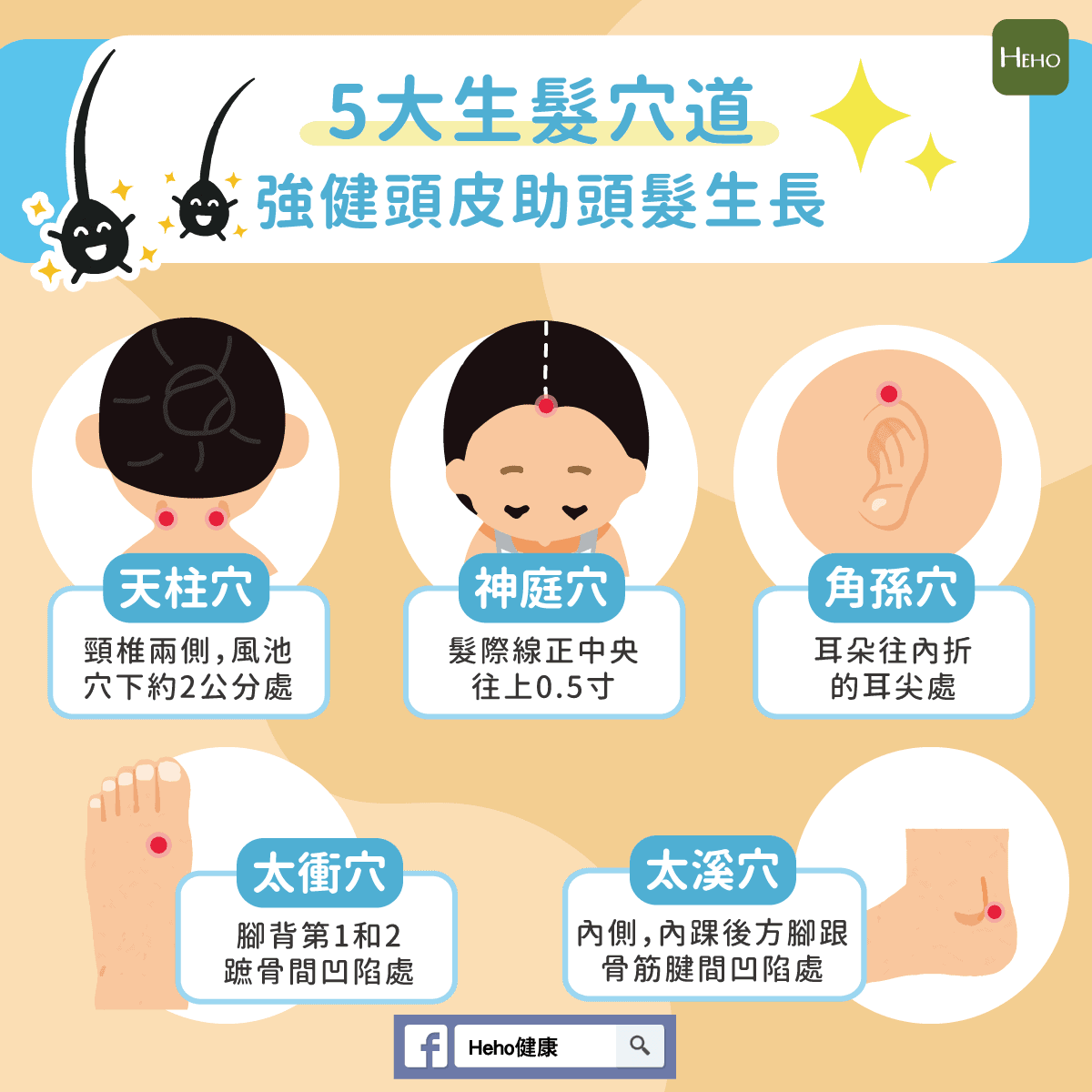 按摩頭皮穴道可以促進血液循環,為毛囊提供更多養分,改善頭髮生長,減少掉髮,並舒緩頭皮壓力。 按摩頭皮的同時,也能放鬆心情,改善頭痛和肩頸痠痛等問題。