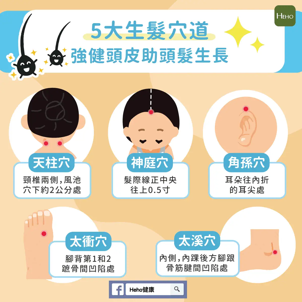 按摩頭皮穴道可以促進血液循環，為毛囊提供更多養分，改善頭髮生長，減少掉髮，並舒緩頭皮壓力。 按摩頭皮的同時，也能放鬆心情，改善頭痛和肩頸痠痛等問題。 