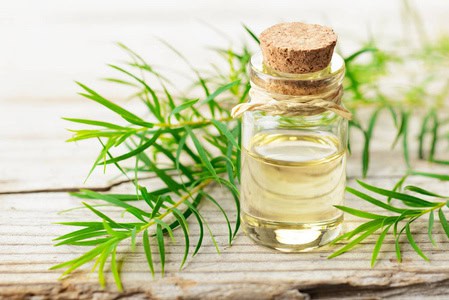 茶樹精油具有多種功效，主要體現在抗菌、抗真菌、抗炎和抗氧化等方面。 它常用於改善皮膚問題，如痘痘、頭皮屑、蚊蟲叮咬等，也可用於環境清潔、空氣淨化以及舒緩呼吸道不適。